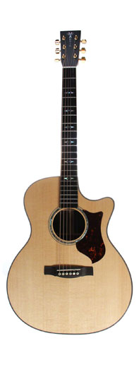 Chitarra Acustica