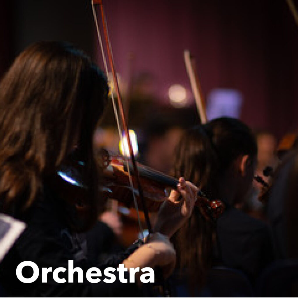 Orchestra