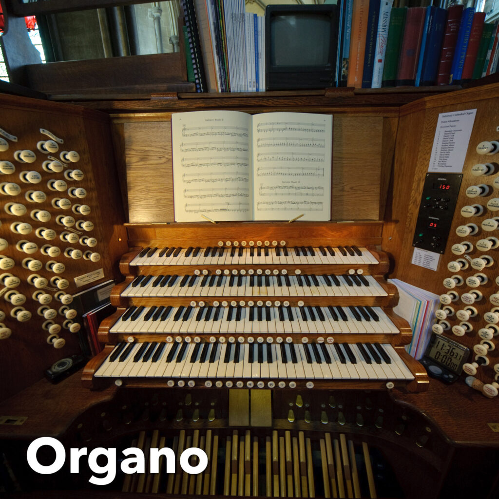 Organo