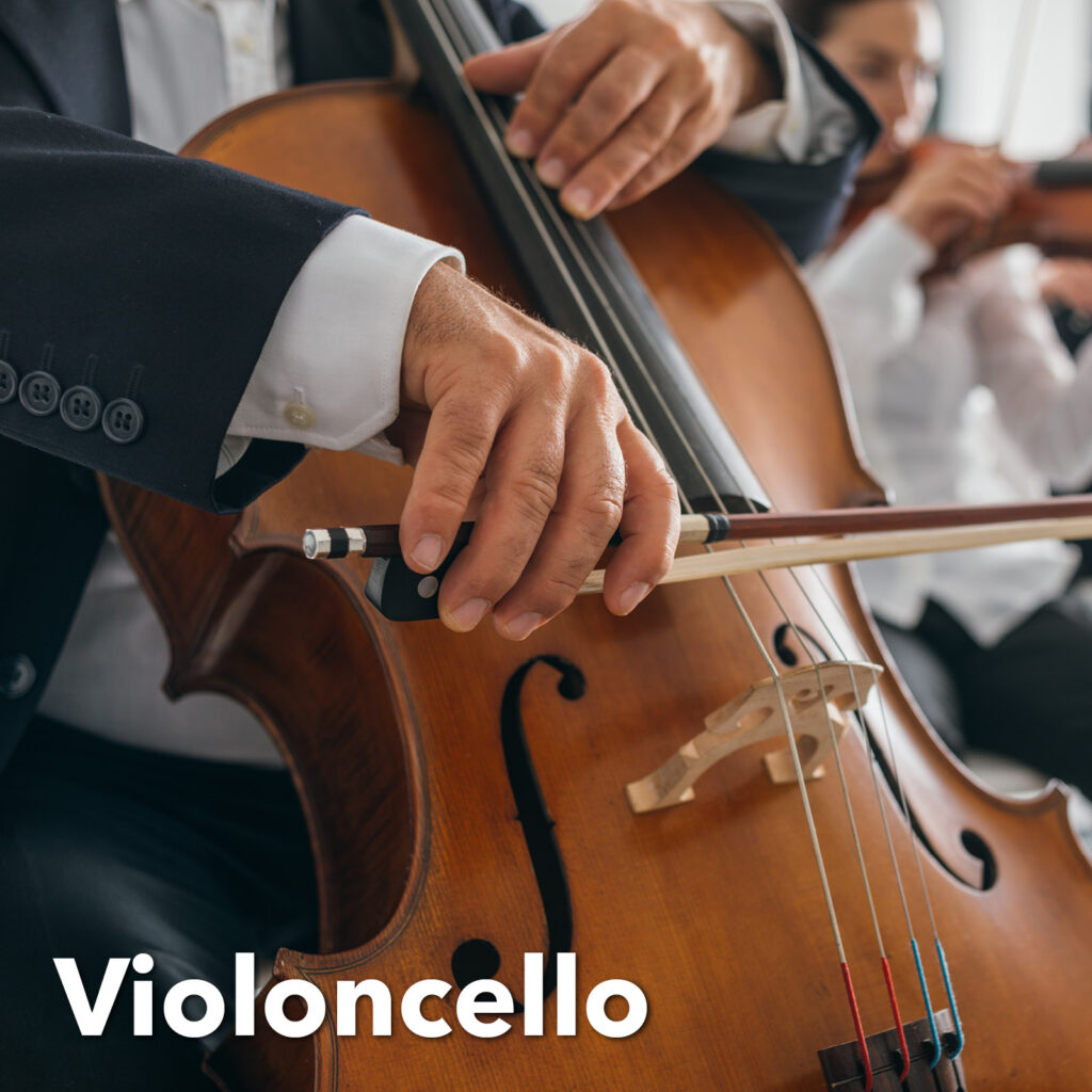 violoncello